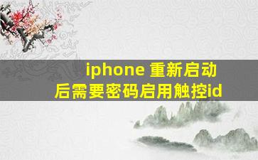 iphone 重新启动后需要密码启用触控id